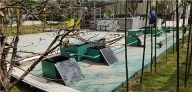 湖北荊州豆制品廠污水處理現(xiàn)場