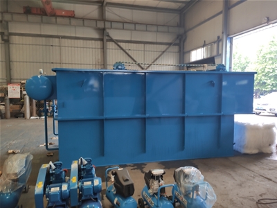 洗大蒜污水處理設(shè)備